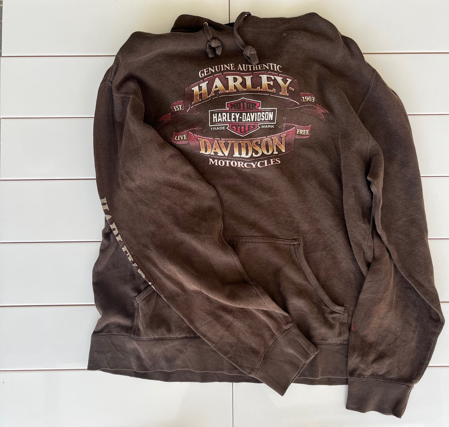 Harley Davidson Hoodie